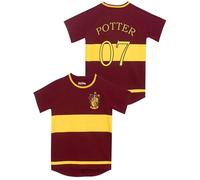 Harry Potter Boys Gryfindor Quidditch T-Shirt Age 9 to 10 Years Multicoloured
