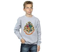 Harry Potter Boys Hogwarts Crest Gold Ink Sweatshirt Sport Grey 7-8 Years