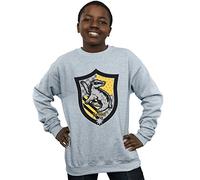 Harry Potter Boys Hufflepuff Crest Flat Sweatshirt Sport Grey 12-13 years