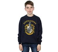 Harry Potter Boys Hufflepuff Crest Sweatshirt Navy Blue 5-6 Years