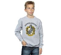 Harry Potter Boys Hufflepuff Crest Sweatshirt Sport Grey 9-11 Years