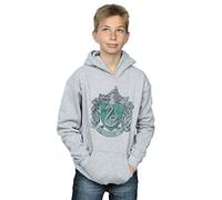 Harry Potter Boys Slytherin Sport Emblem Hoodie 9-11 Years Sport Grey