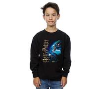 Harry Potter Boys Smiles At Hogwarts Sweatshirt Black 7-8 Years