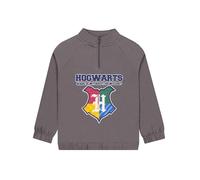 Harry Potter Boys Sweatshirt With Quarter Zip, Hogwarts Kids Jumper With Zip, Hogwarts Boys Clothes, Grey 10-11 Years