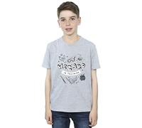 Harry Potter Boys Wizard in Training T-Shirt Sport Grey 5-6 Years