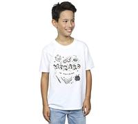 Harry Potter Boys Wizard in Training T-Shirt White 5-6 Years