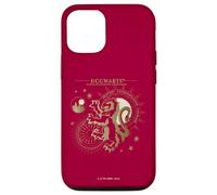 Harry Potter Bravery, Deterimation, Courange, Gryffindor Case for iPhone 12/12 Pro