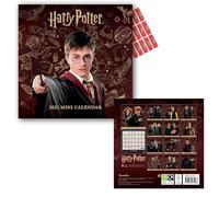Harry Potter Calendar 2025 Mini Edition Wall Calendar with free Organising Stickers included