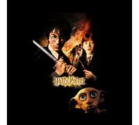 Harry Potter Chamber Of Secrets Hoodie - Black - XL - Black