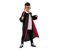Harry Potter Childrens/Kids Costume Accessory SetOne Size Black/Brown BN5356