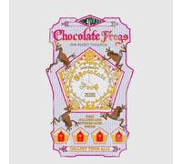 Harry Potter Chocolate Frog Women's T-Shirt - Grey - XS