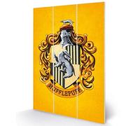 Pyramid International Harry Potter (colourful Crest Hufflepuff) Micro Wood, Multi