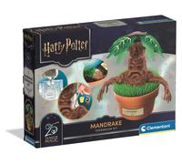 Harry Potter Create Your Own Mandrake Terrarium Kit Build Paint Grow Science Set