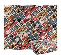 HARRY POTTER Cute Chibi Pattern Officially Licensed Silky Touch Super Soft Throw Blanket 152 x 127 cm