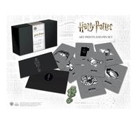 Harry Potter Dark Arts Pin Badge and Art Cards Set