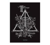 Harry Potter Deathly Hallows Canvas Print
