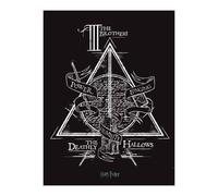 Harry Potter Deathly Hallows Canvas Print In Black Black