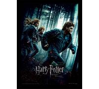 Harry Potter "Deathly Hallows Part 1" Framed Print, 30 x 40 cm