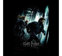 Harry Potter Deathly Hallows Part 1 Hoodie - Black - L