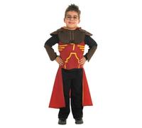 Harry Potter Deluxe Quidditch Costume
