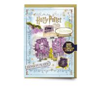 Harry Potter Diagon Alley Christmas Greetings Card with Olivanders Sign Pin Badge