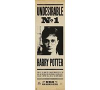 Harry Potter Door Poster - Undesirable N° 1 (53cm x 158cm) + a surprise poster!