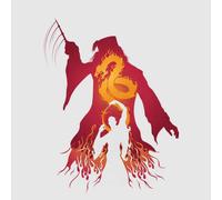 Harry Potter Dumbledore Voldemort Women's T-Shirt - Grey - M