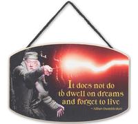 Harry Potter Dwell On Dreams Hanging Wood Wall Decor