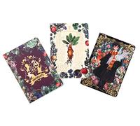 Insight Editions Harry Potter: Floral Fantasy Planner Notebook Set (2022, 3-Pack, 6 x 8.5 inches, Undated Weekly Planner, Ruled, Dot Grid)