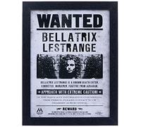 Harry Potter FP10612P-PL Framed Memorabilia, Bellatrix Wanted, 30 x 40cm