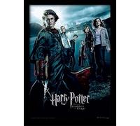 Harry Potter FP10686P-PL "Goblet of Fire" Framed Print, 30 x 40 cm