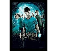 Harry Potter FP10687P-PL "Order of The Phoenix" Framed Print, 30 x 40 cm