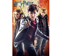 Harry Potter FP2578 7 "Trio" Maxi Poster, 61 x 91.5 cm - Multi-colour