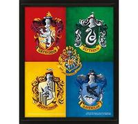 Harry Potter - Framed 3D Picture Crests - Non-book item - K245z
