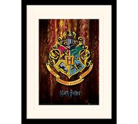 HARRY POTTER Framed Poster of Hogwarts Crest 30cm x 40cm - Official Merchandise