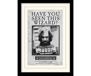 HARRY POTTER Framed Poster of Sirius Black in Azkaban Prison 30cm x 40cm - Official Merchandise