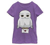 Harry Potter Girl's Anime Hedwig Mail T-Shirt, Pur Berry, Large