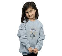 Harry Potter Girls Dobby Is Free Sweatshirt 9-11 Years Sport Grey