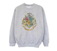 Harry Potter Girls Hogwarts Distressed Crest Sweatshirt 9-11 Years Sport Grey