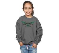 Harry Potter Girl's Slytherin Captain Sweatshirt in Charcoal | Size: 3-4 Years Harry Potter Charcoal 3-4 Years