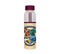 Harry Potter Glass Water Bottle - 500ml / 17oz - Glass Bottle - Hot&Cold Water Bottle - Water Bottle 500ml - Harry Potter Water Bottle - Harry Potter