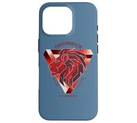 Harry Potter Gryffindor Bravery Courage Determination Case for iPhone 16 Pro