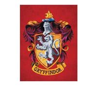 Harry Potter Gryffindor Canvas Print In Red Red