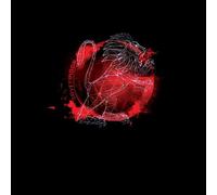 Harry Potter Gryffindor Geometric Sweatshirt - Black - XL