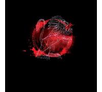 Harry Potter Gryffindor Geometric Women's T-Shirt - Black - XXL