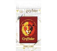 Harry Potter (Gryffindor) Magnet