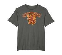 Harry Potter Gryffindor Sport Emblem T-Shirt