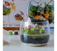 Harry Potter Hagrid's Hut Terrarium Build It Kit