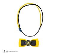 Harry Potter Hair Accessories clip double-headband | CR2634 | Acotis