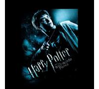 Harry Potter Half-Blood Prince Hoodie - Black - L